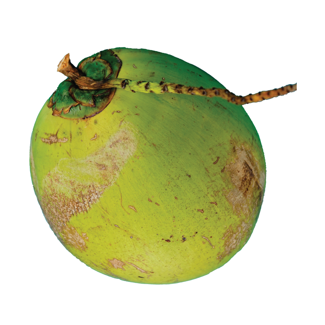COCONUT-01