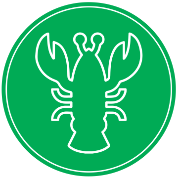 Baby Lobster