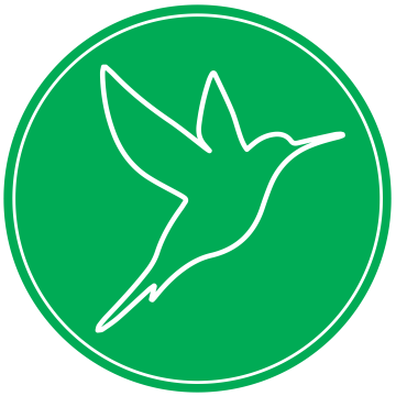 Bird Nest