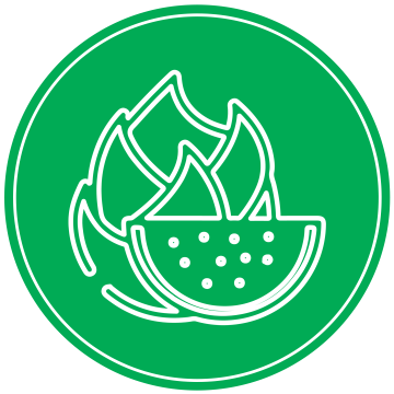 Fruits